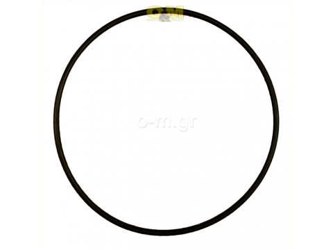 O-ring for RIELLO burners type 40G, RG, RDB BF