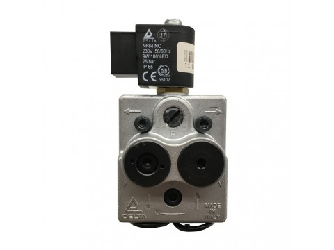 Oil pump DELTA A2 L2