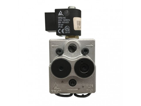 Oil pump DELTA A2 R2