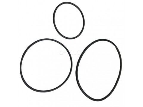 O-ring, GIULIANI ANELLO, για φίλτρα 3/8''