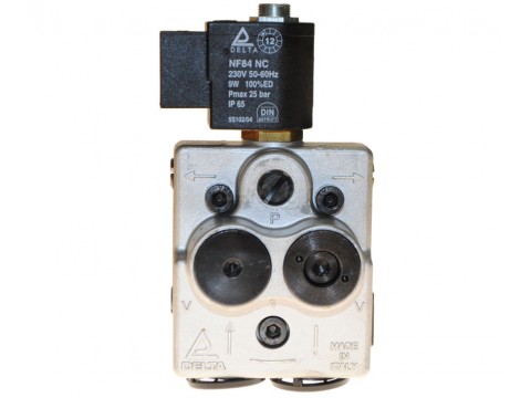 Oil pump DELTA A1 L2