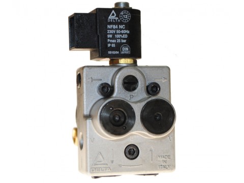 Oil pump DELTA A1 R2